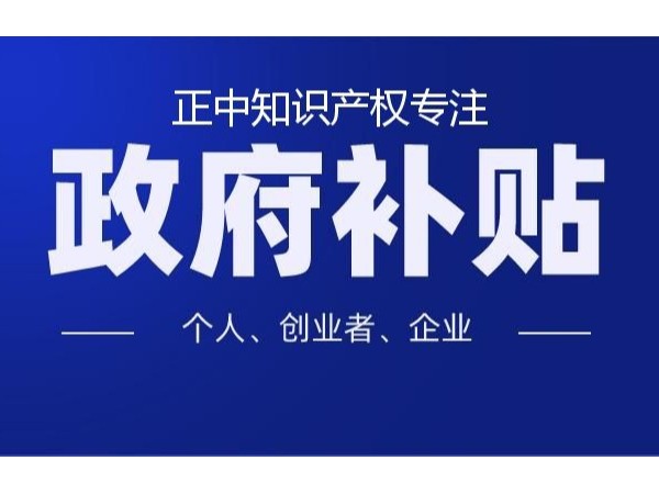 关于加大补贴工业技改投资推动智能制造的项目