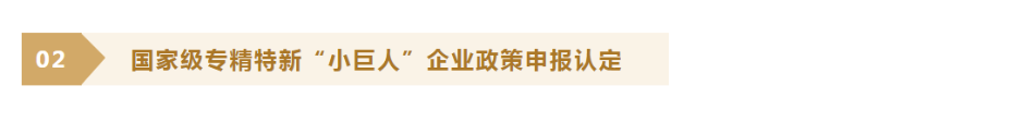 国家级专精特新“小巨人”企业政策申报认定