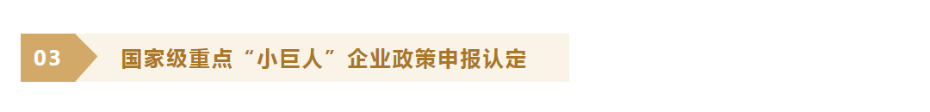 国家级重点“小巨人”企业政策申报认定