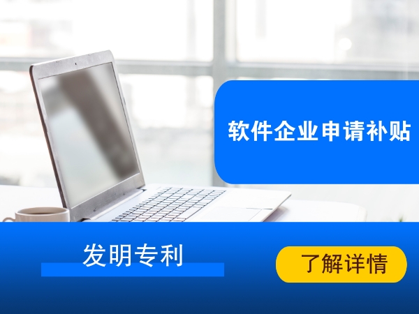 软件和信息技术服务业、互联网和相关服务业企业稳增长奖励项目的申报